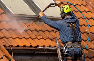 Démoussage et hydrofuge de toiture à Trelins